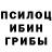 Псилоцибиновые грибы Cubensis Edip Aslan