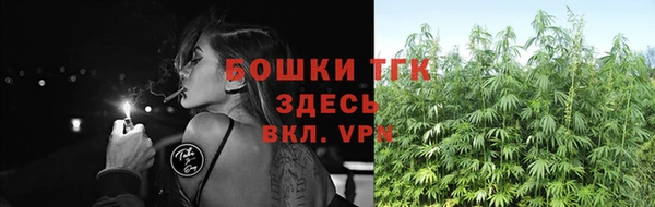 дживик Богородицк