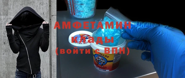 дживик Богородицк