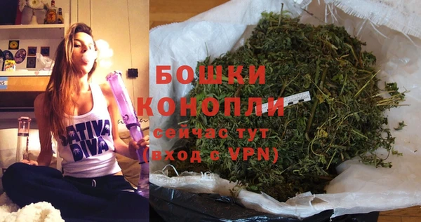 дживик Богородицк