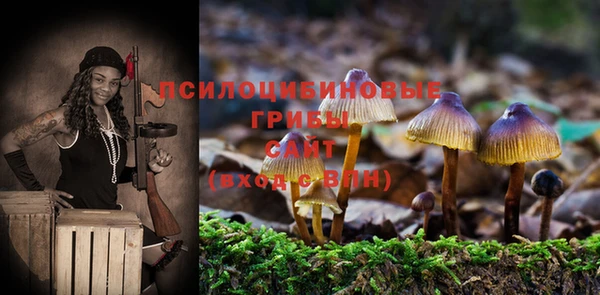дживик Богородицк