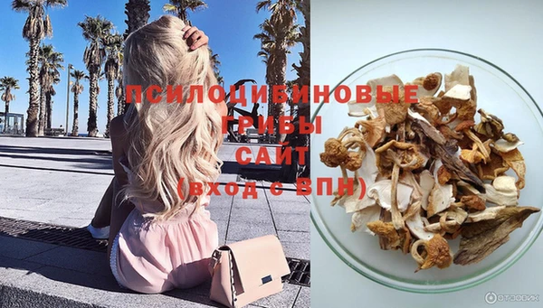 индика Белокуриха